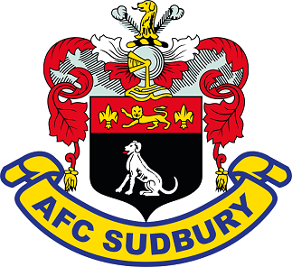 Cardiff City LFC v AFC Sudbury WFC